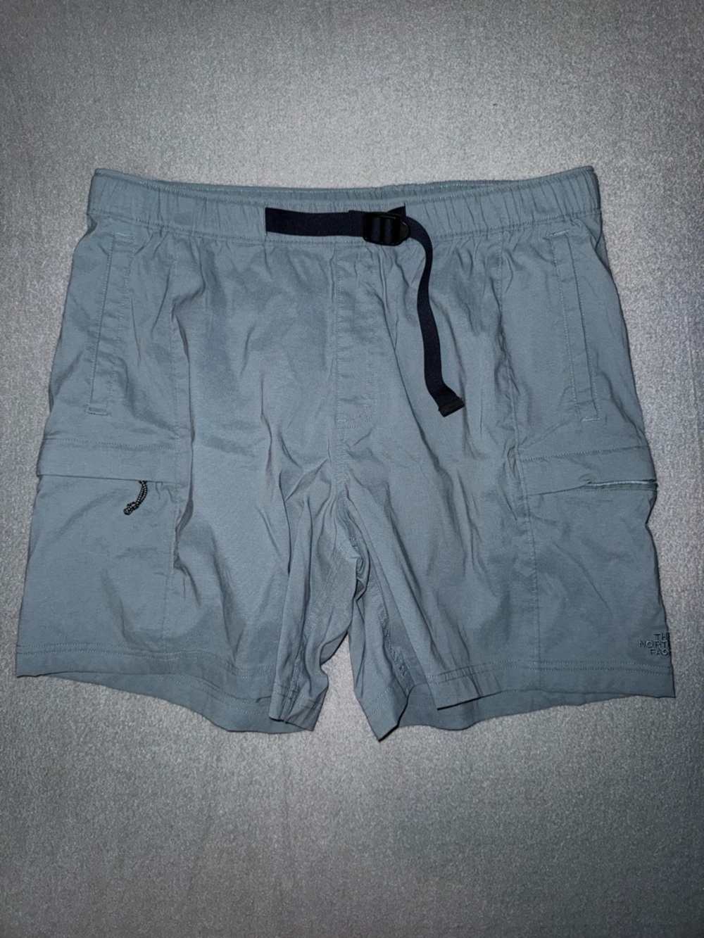 The North Face Men’s Light Blue Cargo Shorts